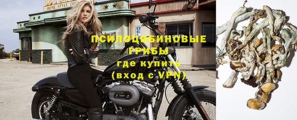 соль курить ск Алзамай