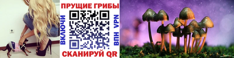 купить   Лесной  Галлюциногенные грибы мицелий 