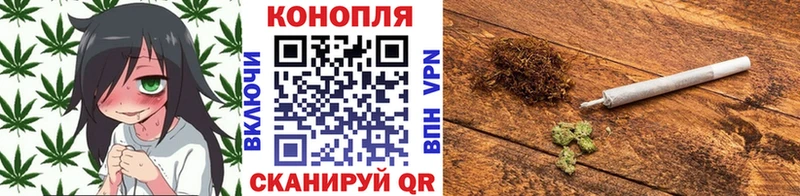 Марихуана сатива  купить закладку  Лесной 